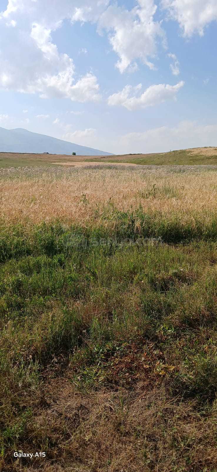 Հողամաս, 20000քմ, Ոռոգման Ջրով