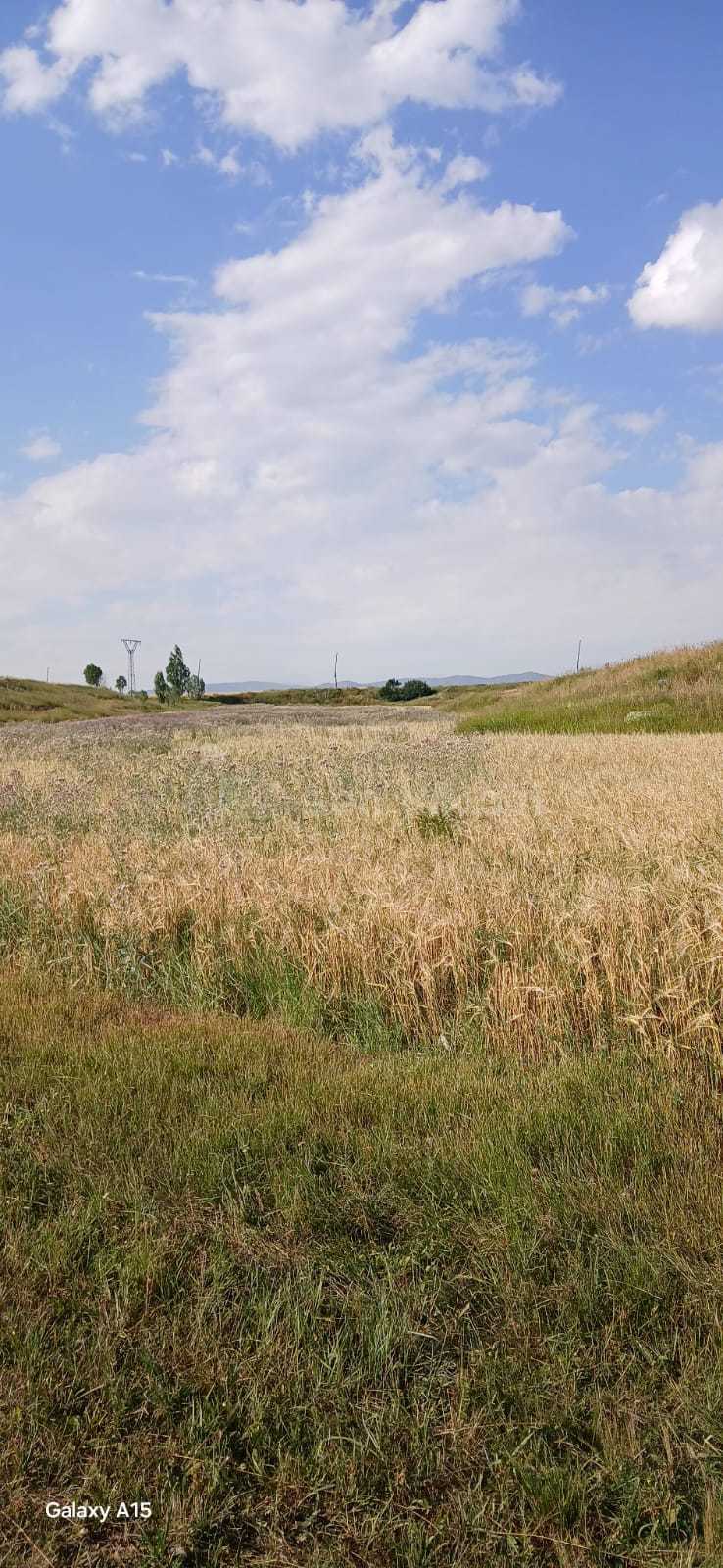 Հողամաս, 20000քմ, Ոռոգման Ջրով