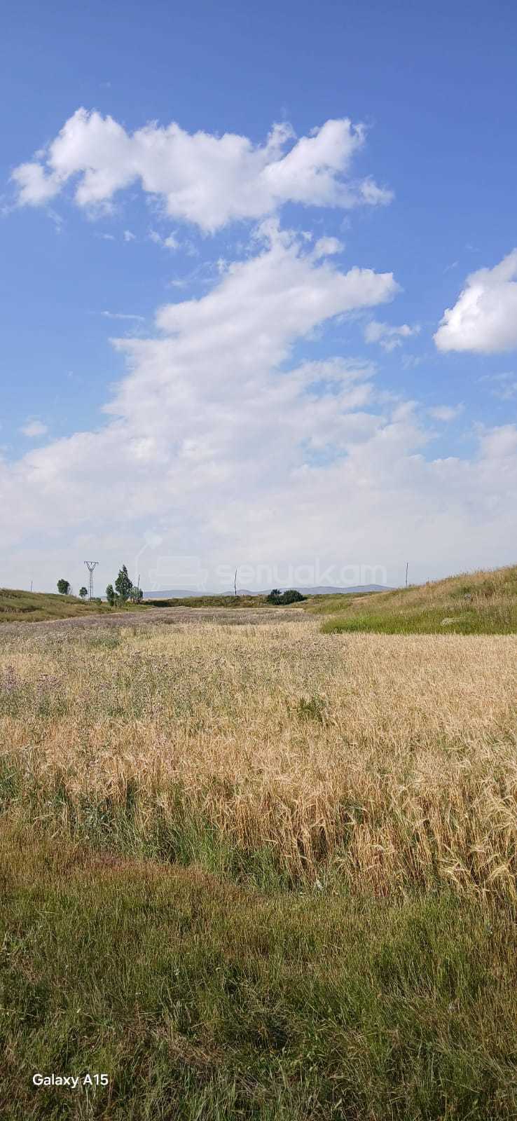 Հողամաս, 20000քմ, Ոռոգման Ջրով