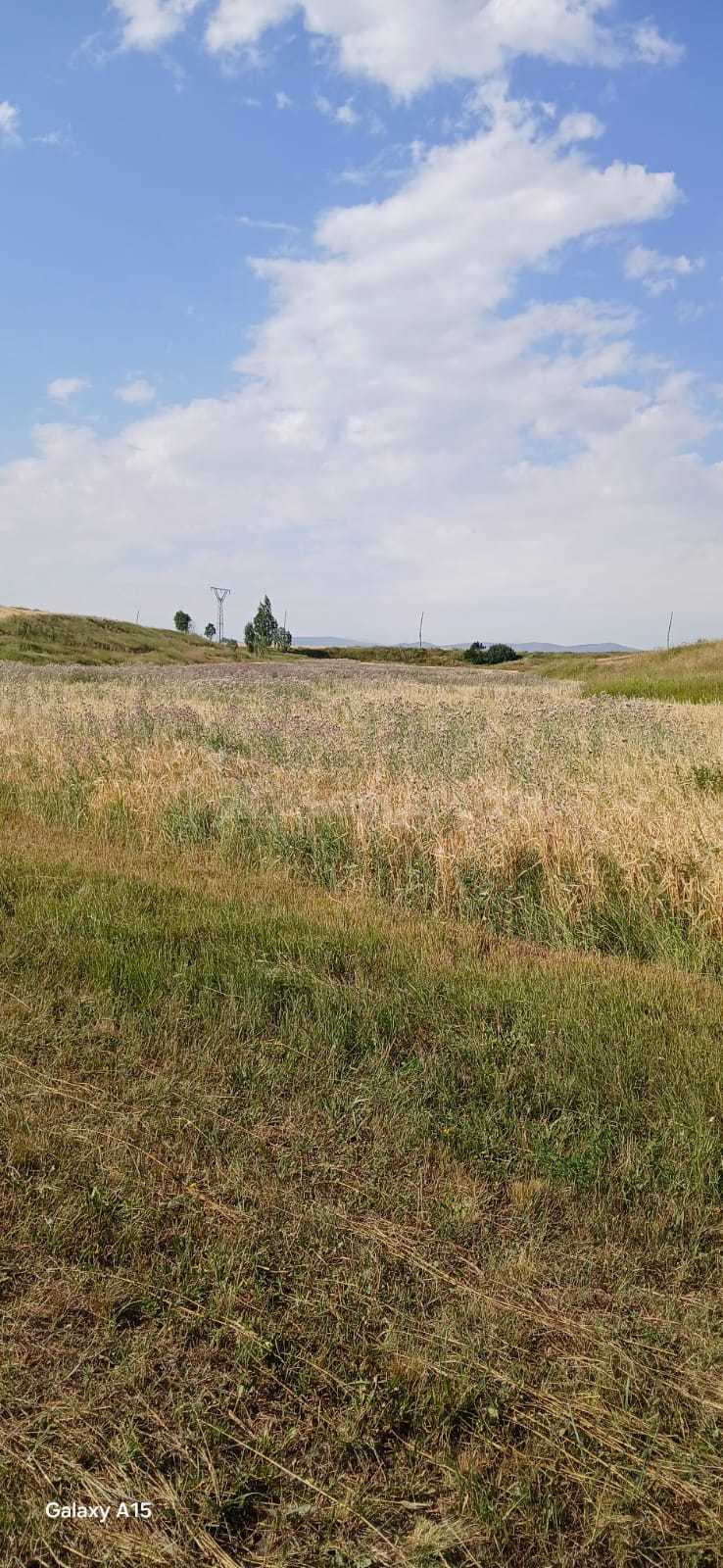 Հողամաս, 20000քմ, Ոռոգման Ջրով