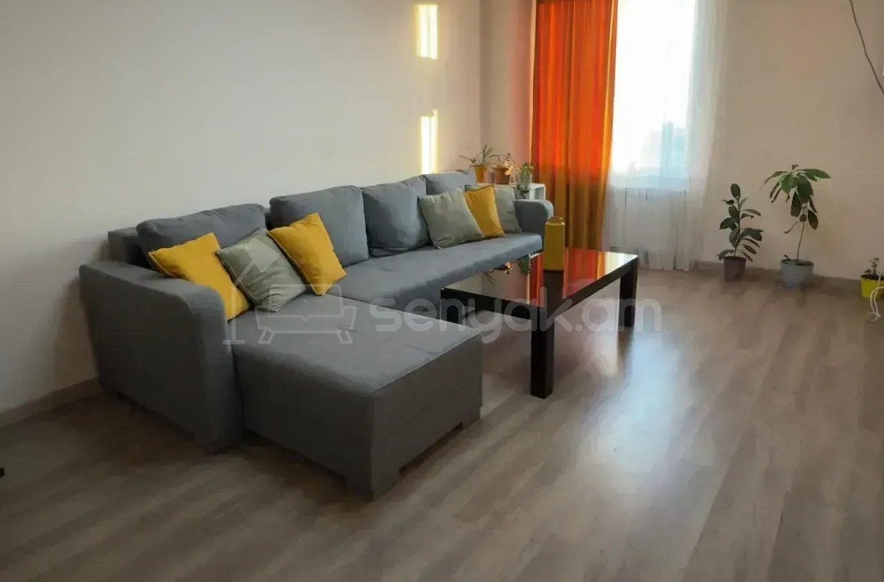 2 Սենյականոց Բնակարան, 46քմ, 6/11 հարկ, Կապիտալ Վերանորոգված