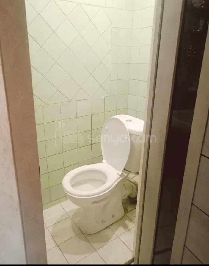 4 Սենյականոց Բնակարան, 83քմ, 3/9 հարկ, Կապիտալ Վերանորոգված