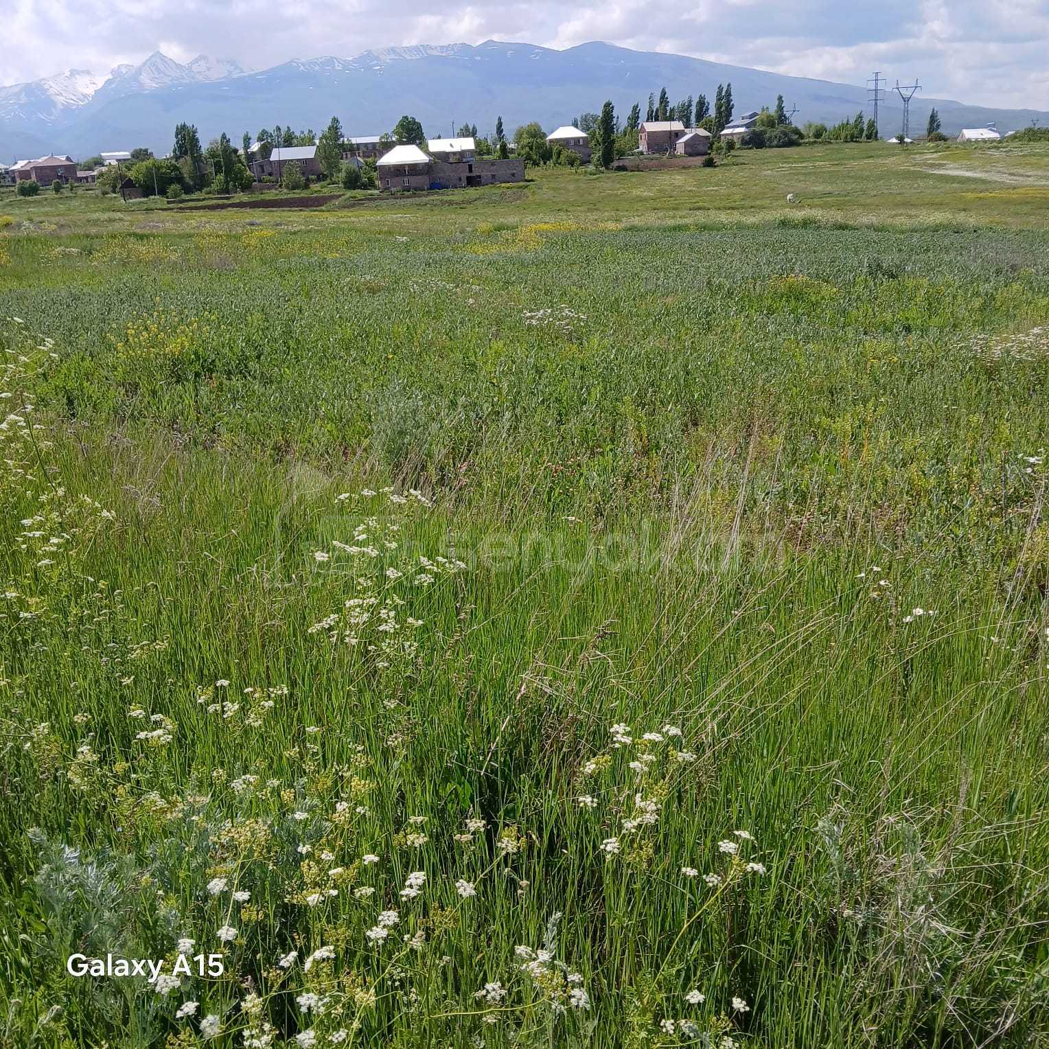 Հողամաս, 2000քմ
