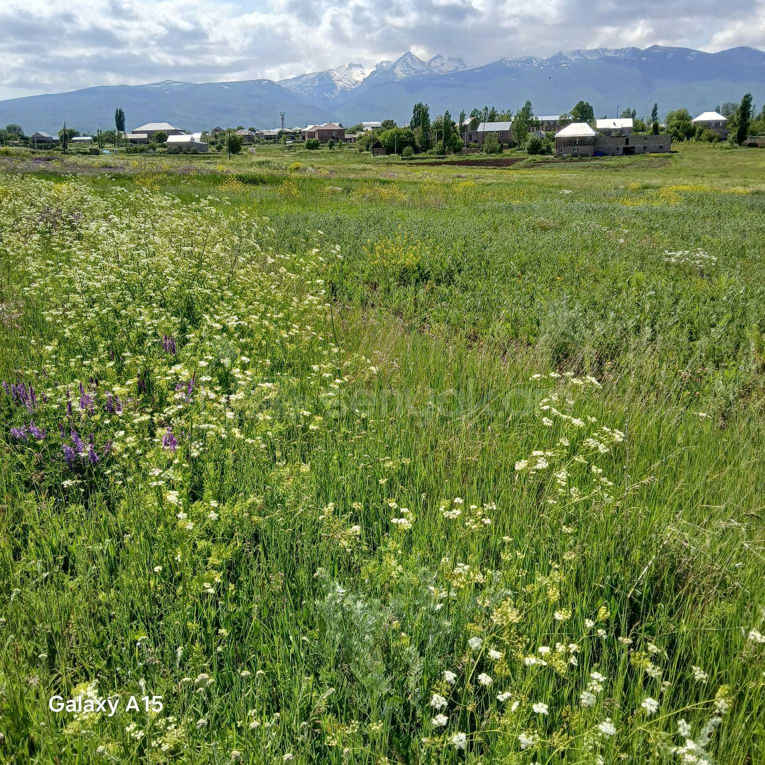Հողամաս, 2000քմ