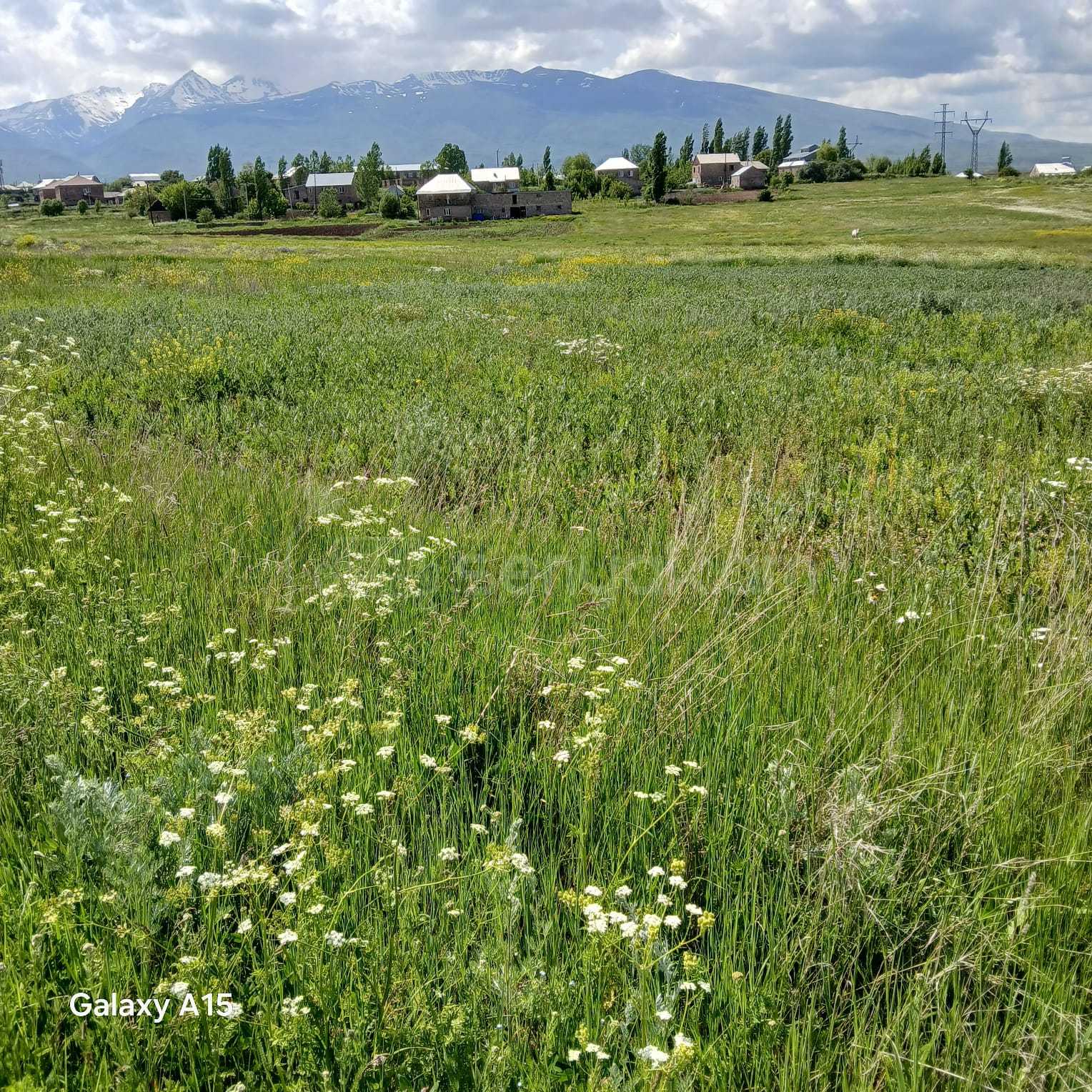 Հողամաս, 2000քմ
