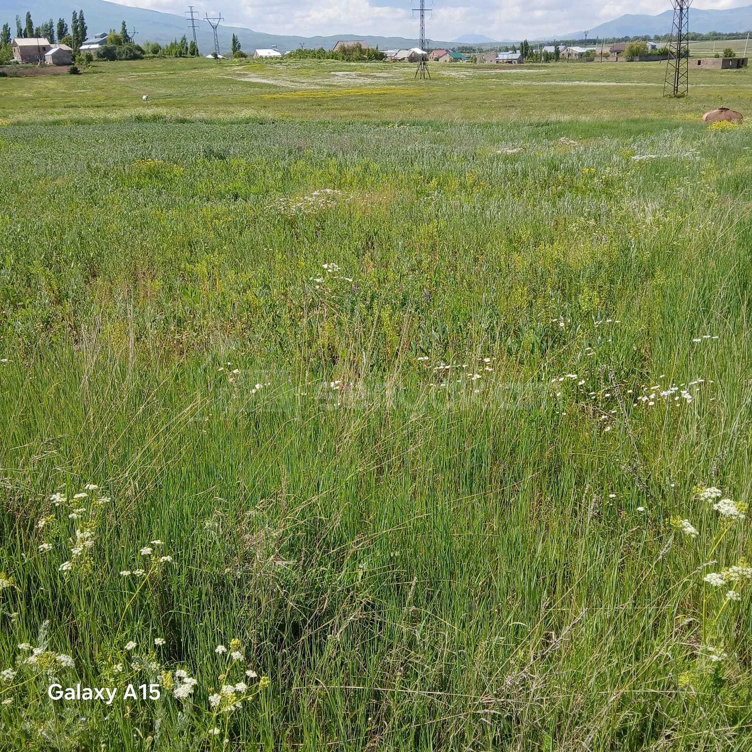 Հողամաս, 2000քմ