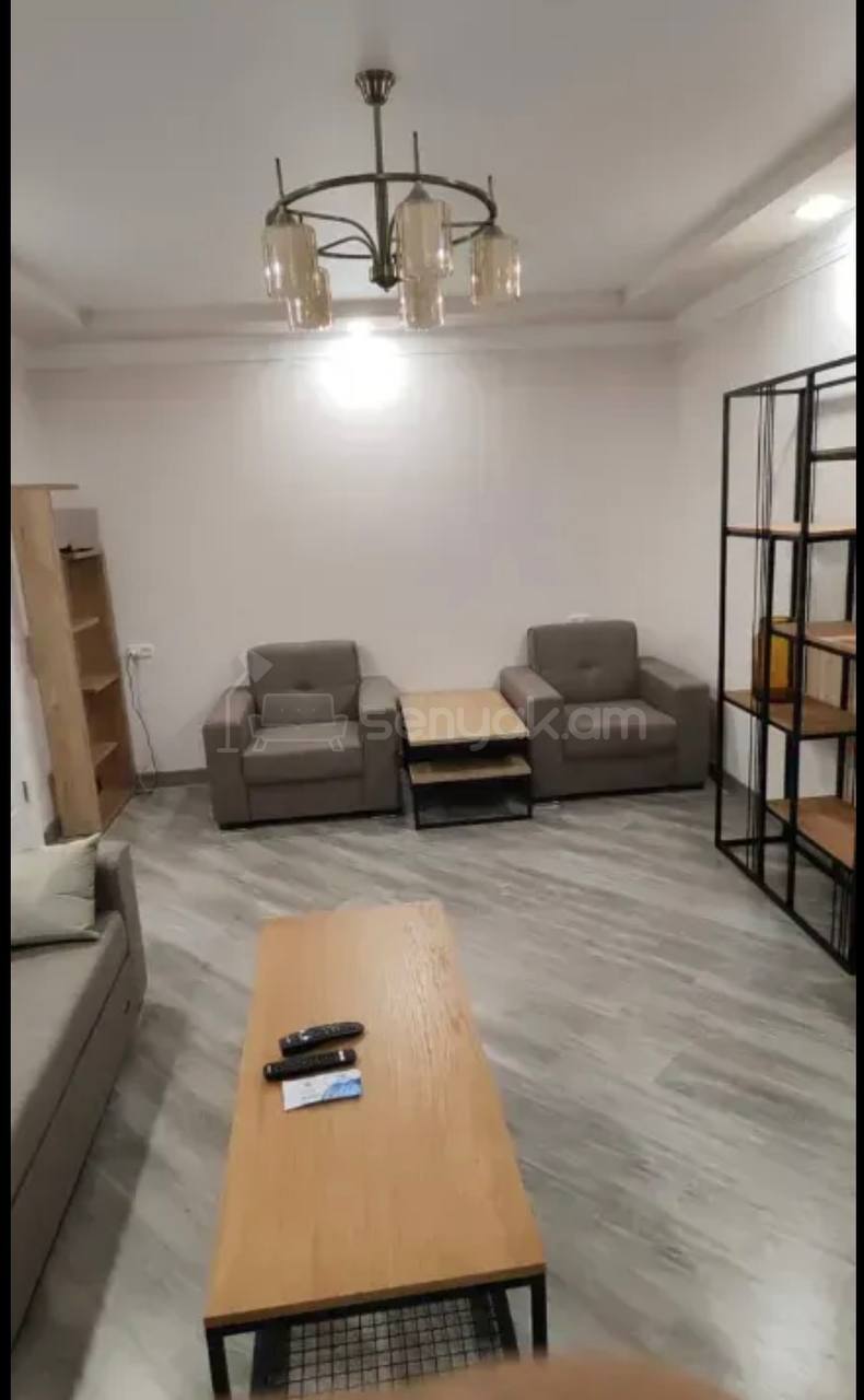 3 Սենյականոց Բնակարան, 65քմ, 4/9 հարկ, Կապիտալ Վերանորոգված, Կահավորված