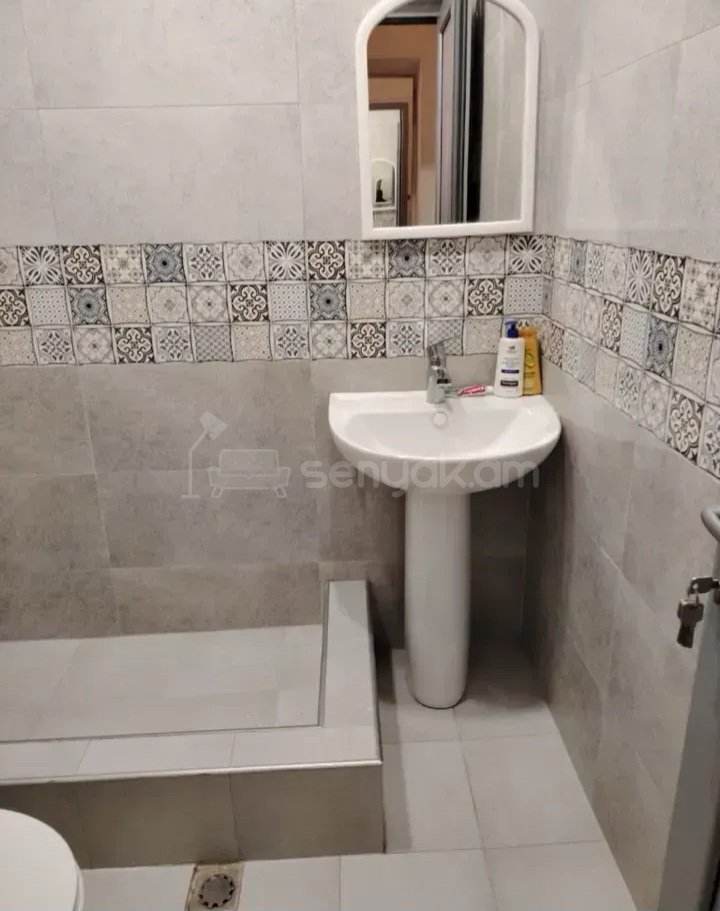 1 Սենյականոց Բնակարան Քարե Շենքում, 45քմ, 2/5 հարկ, Կապիտալ Վերանորոգված, Կահավորված