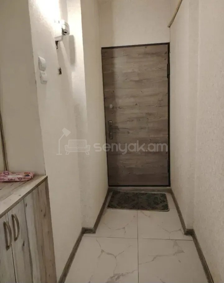 1 Սենյականոց Բնակարան Քարե Շենքում, 45քմ, 2/5 հարկ, Կապիտալ Վերանորոգված, Կահավորված
