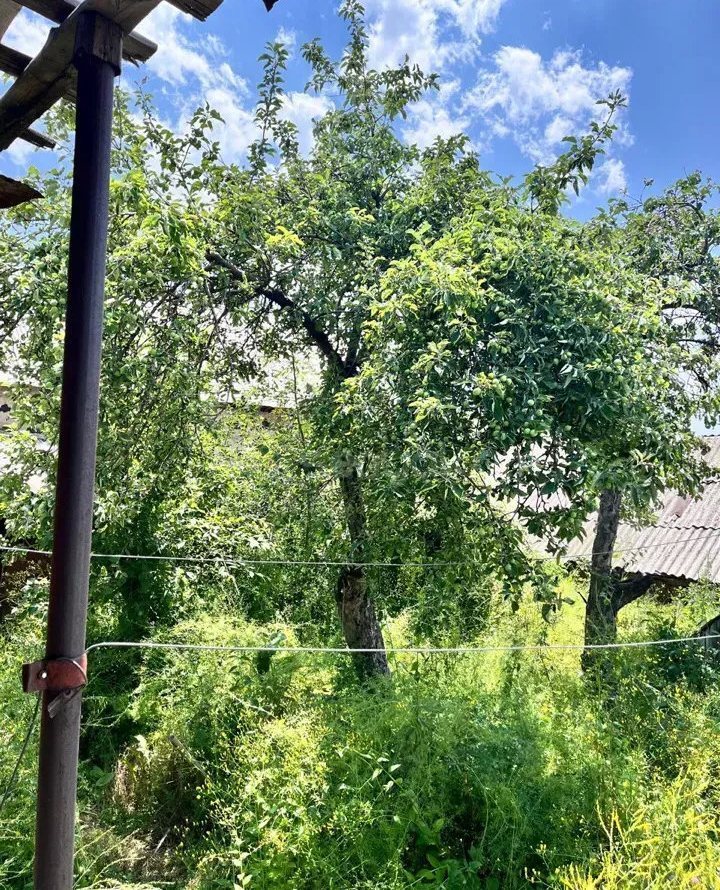 5 Սենյականոց Սեփական Տուն, 320քմ, Կոսմետիկ Վերանորոգված, Ավտոտնակով