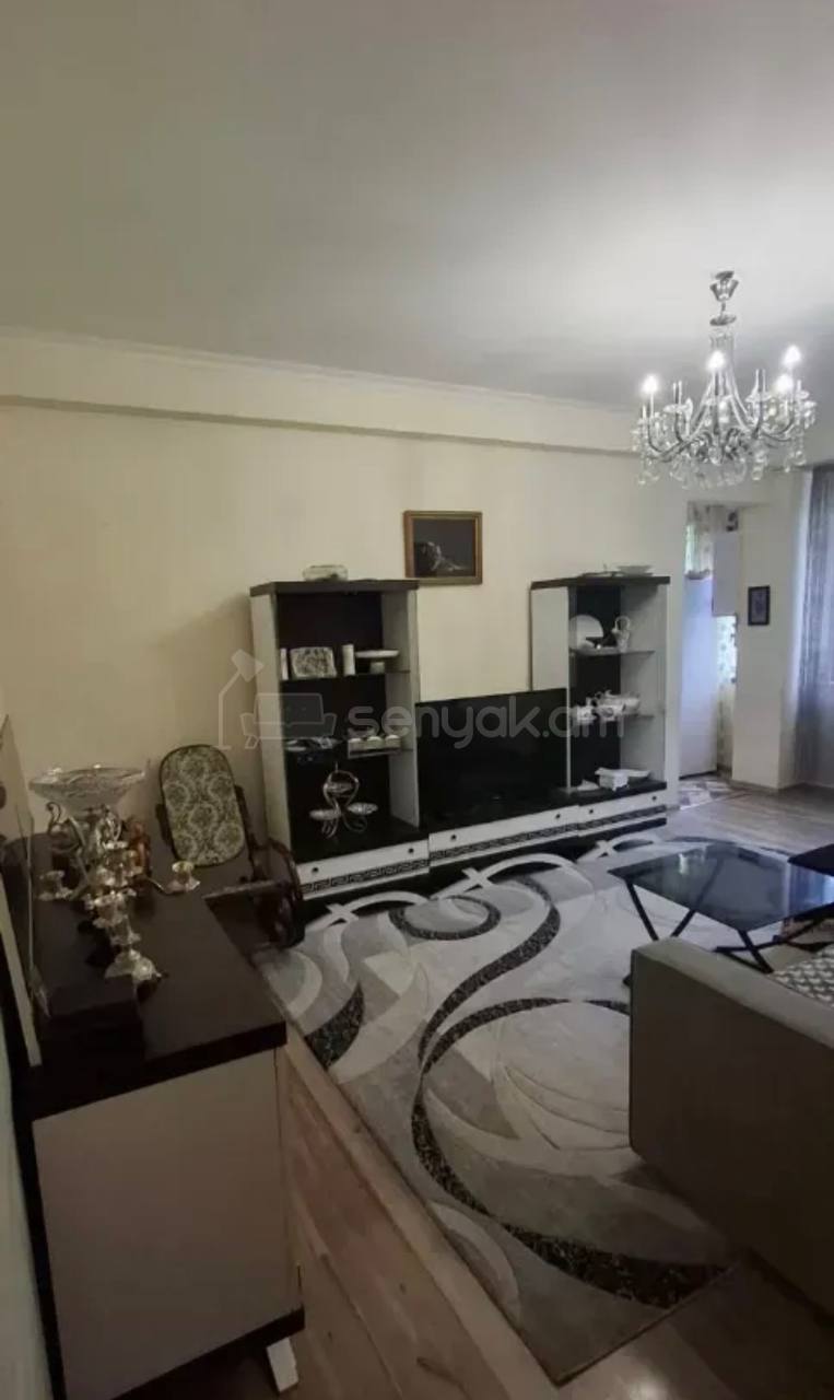 3 Սենյականոց Բնակարան Նորակառույցում, 65քմ, 3/9 հարկ, Կապիտալ Վերանորոգված