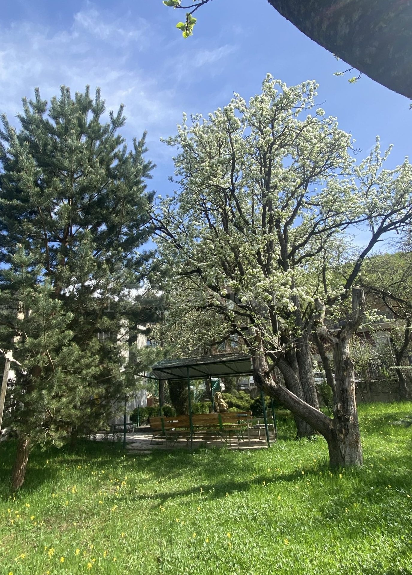 7 Սենյականոց Սեփական Տուն, 250քմ, Կապիտալ Վերանորոգված