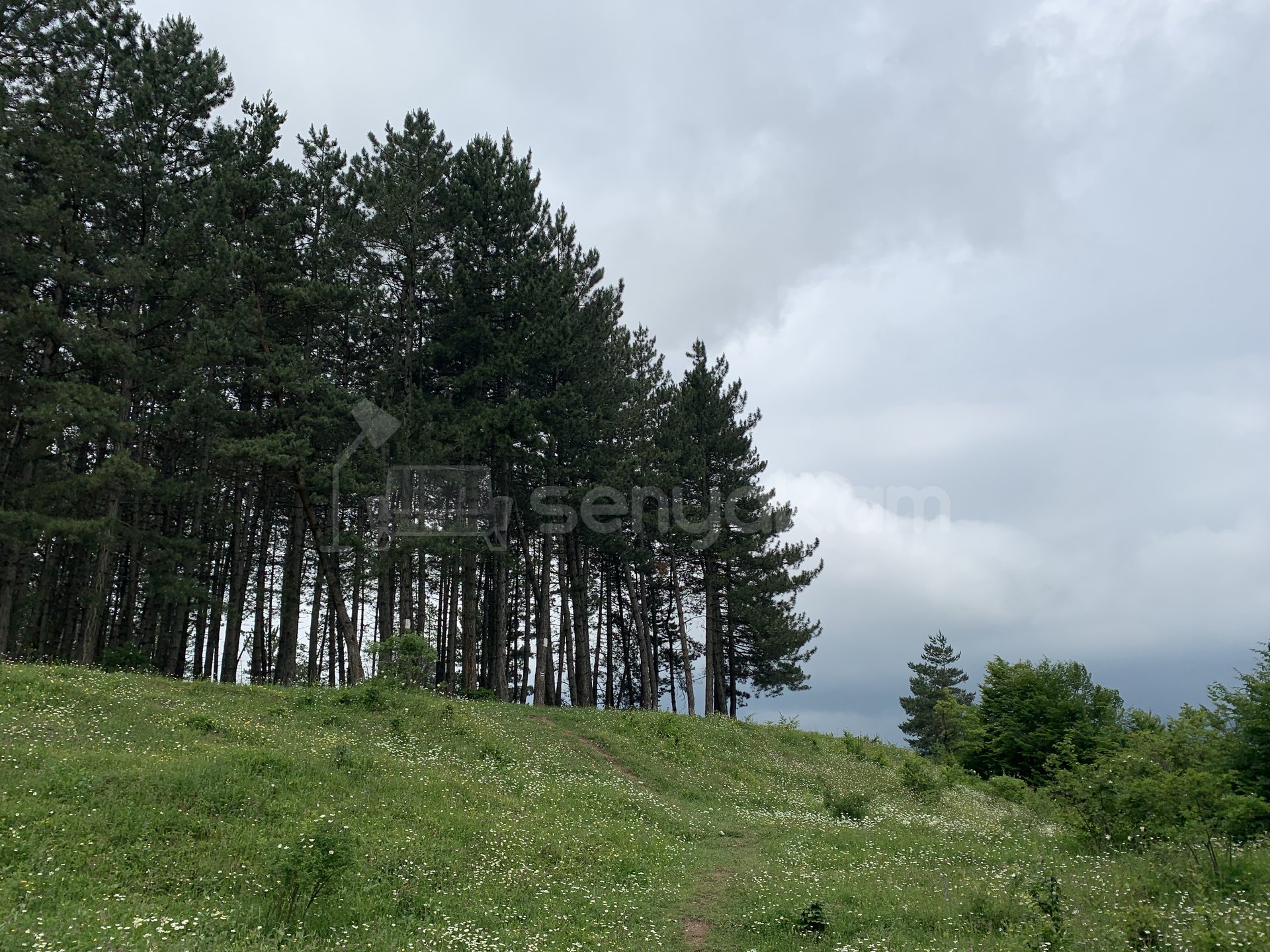 7 Սենյականոց Սեփական Տուն, 250քմ, Կապիտալ Վերանորոգված