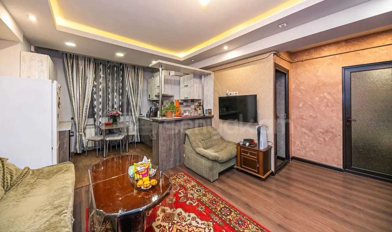 2 Սենյականոց Բնակարան, 43քմ, 7/9 հարկ, Կապիտալ Վերանորոգված