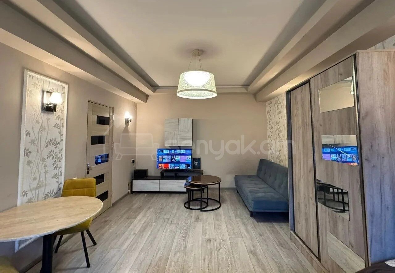1 Սենյականոց Բնակարան, 42քմ, 4/9 հարկ, Կապիտալ Վերանորոգված