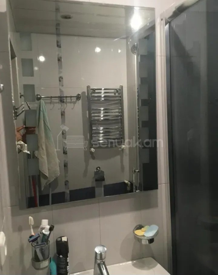 1 Սենյականոց Բնակարան Քարե Շենքում, 47քմ, 5/5 հարկ, Կապիտալ Վերանորոգված, Կահավորված