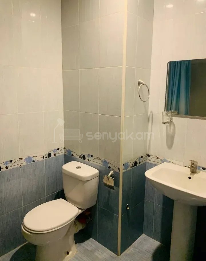 2 Սենյականոց Բնակարան Նորակառույցում, 53քմ, 4/12 հարկ, Կապիտալ Վերանորոգված