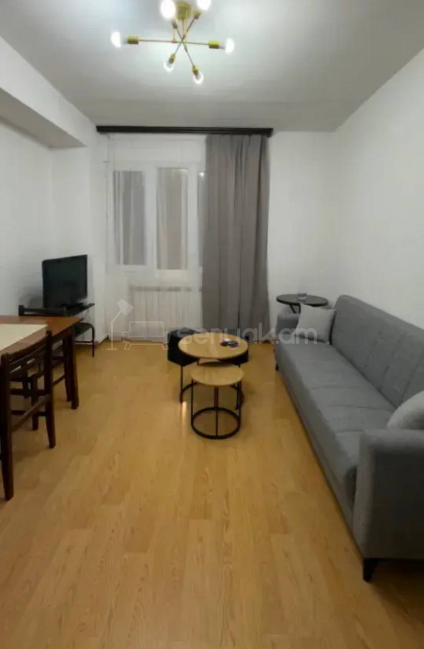 2 Սենյականոց Բնակարան, 40քմ, 4/9 հարկ, Կապիտալ Վերանորոգված, Կահավորված