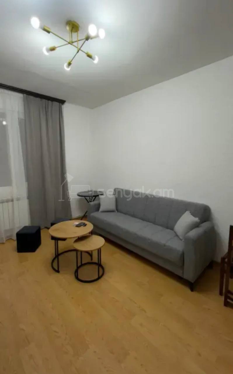 2 Սենյականոց Բնակարան, 40քմ, 4/9 հարկ, Կապիտալ Վերանորոգված, Կահավորված