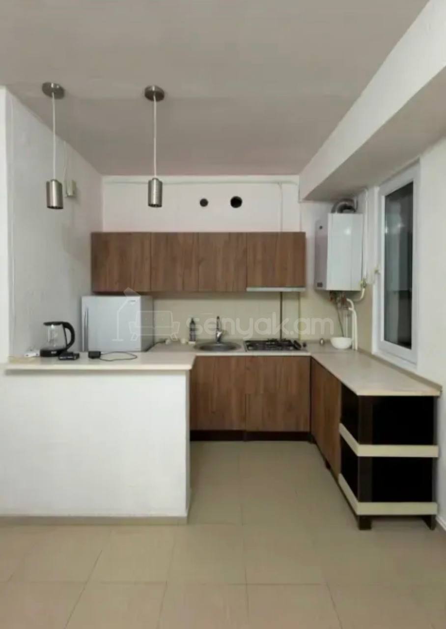 2 Սենյականոց Բնակարան, 40քմ, 4/9 հարկ, Կապիտալ Վերանորոգված, Կահավորված