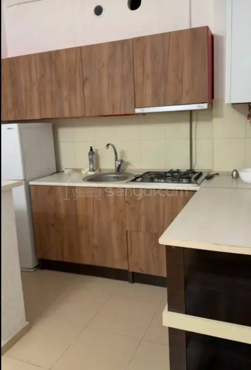 2 Սենյականոց Բնակարան, 40քմ, 4/9 հարկ, Կապիտալ Վերանորոգված, Կահավորված