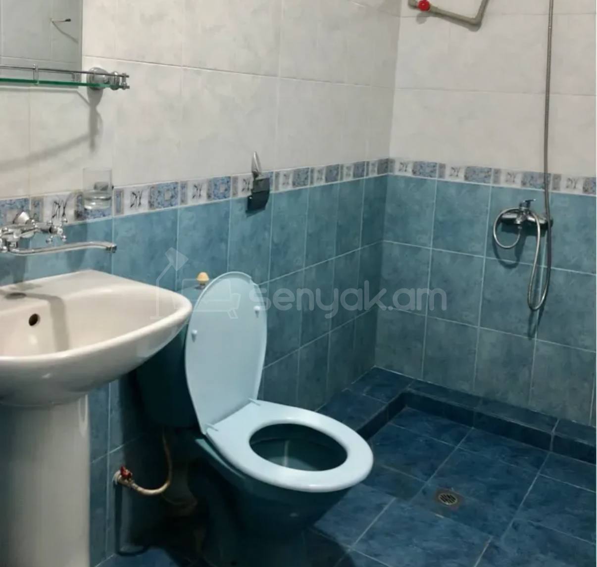 5 Սենյականոց Սեփական Տուն, 180քմ, Կապիտալ Վերանորոգված, Կահավորված