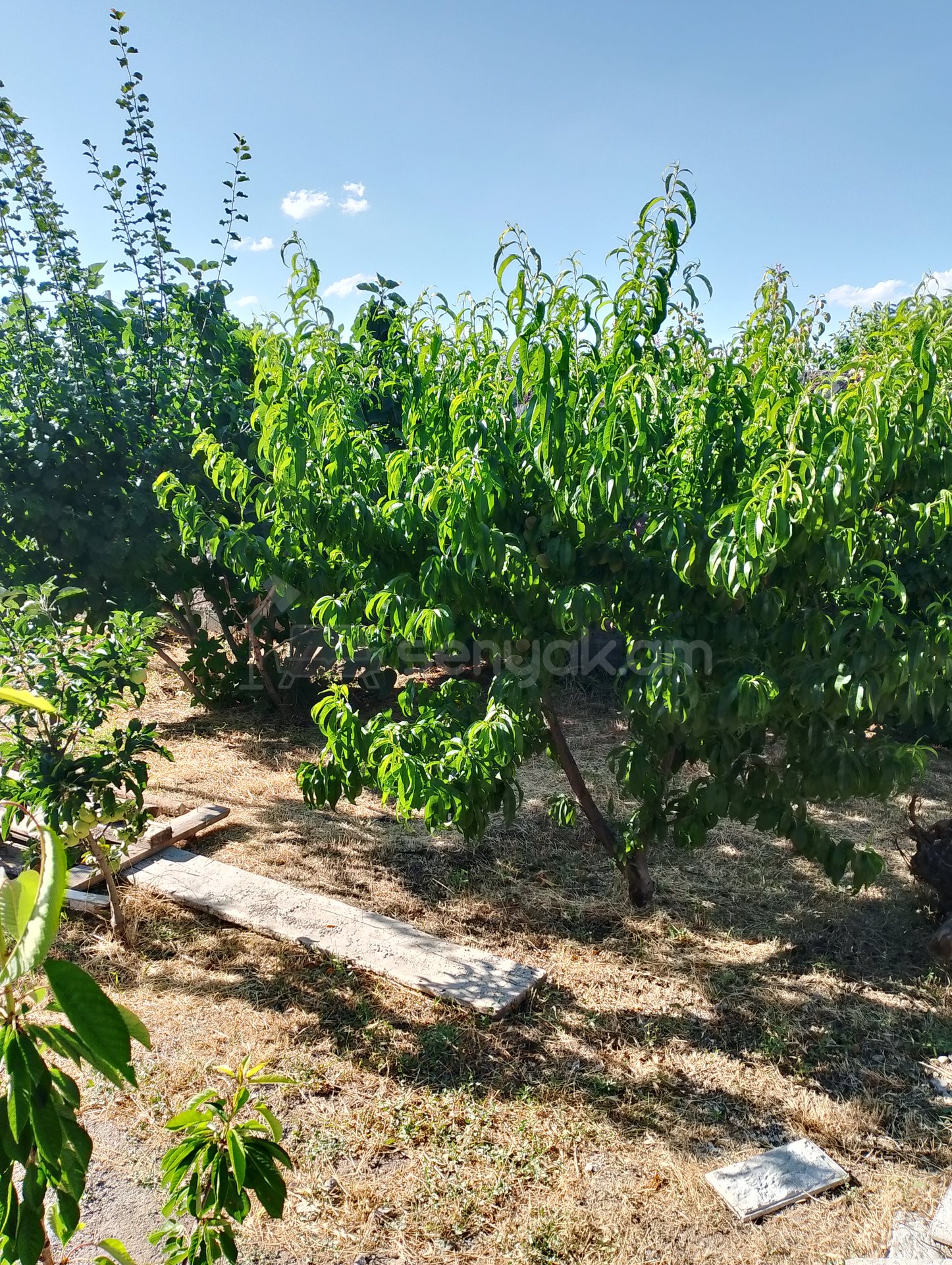 3 Սենյականոց Սեփական Տուն, 80քմ, Կապիտալ Վերանորոգված, Կահավորված