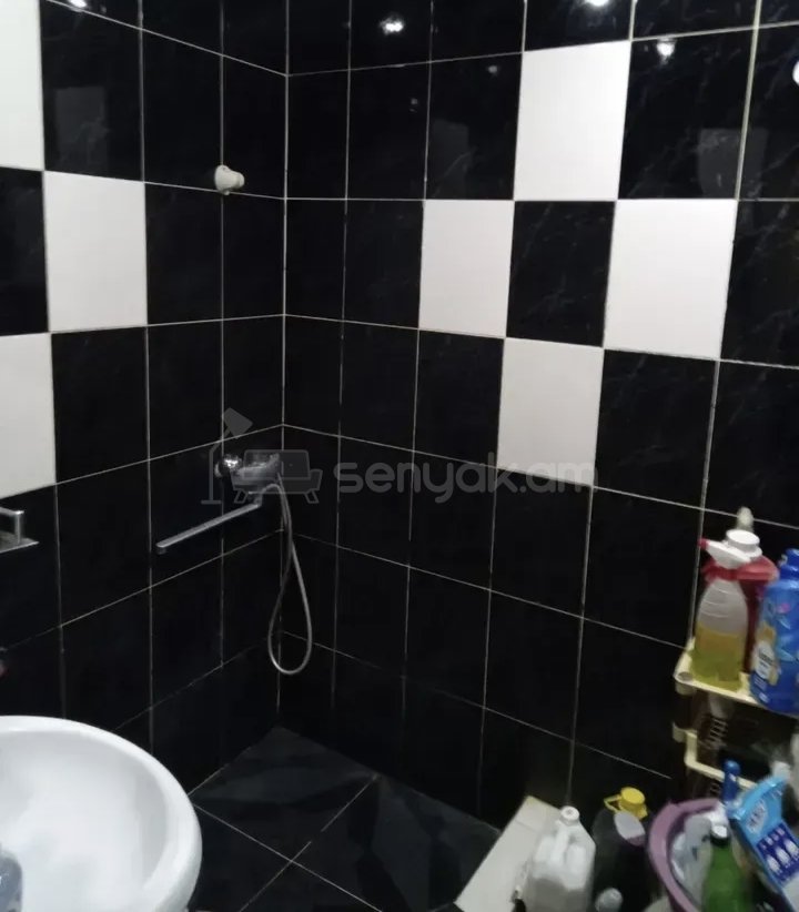 2 Սենյականոց Բնակարան Քարե Շենքում, 58քմ, 3/9 հարկ, Կապիտալ Վերանորոգված, Կահավորված