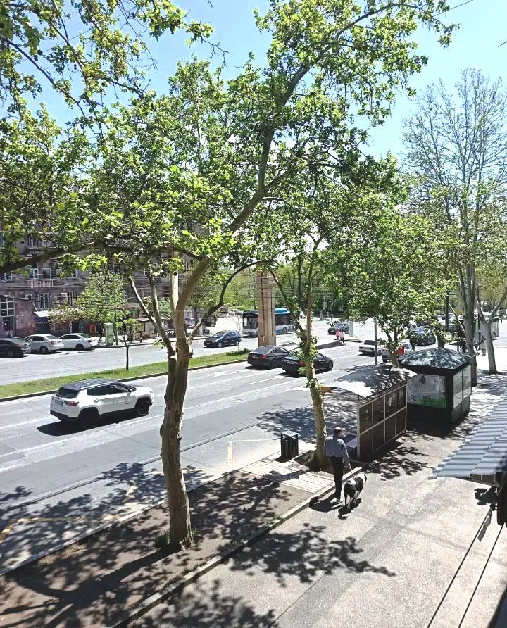 2 Սենյականոց Բնակարան Քարե Շենքում, 38քմ, 2/5 հարկ, Կապիտալ Վերանորոգված