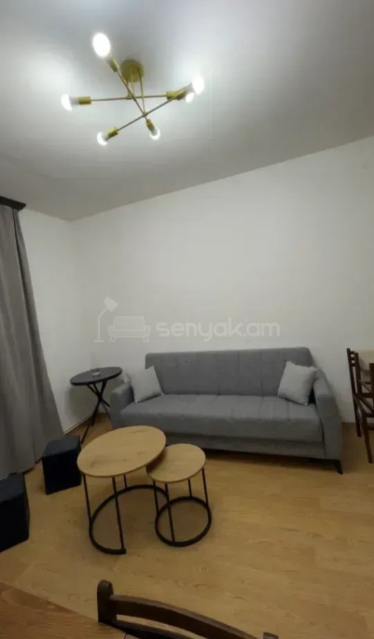 2 Սենյականոց Բնակարան Քարե Շենքում, 40քմ, 4/9 հարկ, Կապիտալ Վերանորոգված, Կահավորված