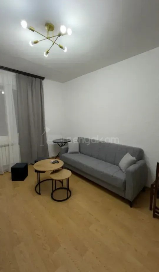 2 Սենյականոց Բնակարան Քարե Շենքում, 40քմ, 4/9 հարկ, Կապիտալ Վերանորոգված, Կահավորված