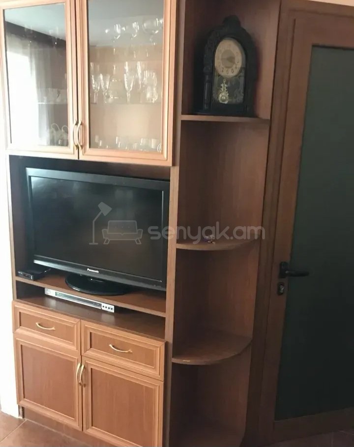 1 Սենյականոց Բնակարան Քարե Շենքում, 30քմ, 2/5 հարկ, Կապիտալ Վերանորոգված, Կահավորված