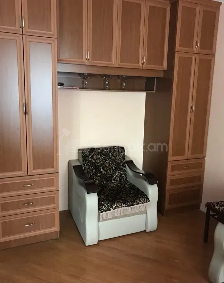 1 Սենյականոց Բնակարան Քարե Շենքում, 30քմ, 2/5 հարկ, Կապիտալ Վերանորոգված, Կահավորված