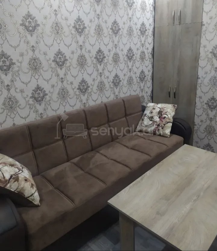 2 Սենյականոց Բնակարան Քարե Շենքում, 68քմ, 3/9 հարկ, Կապիտալ Վերանորոգված, Կահավորված, Արևկող