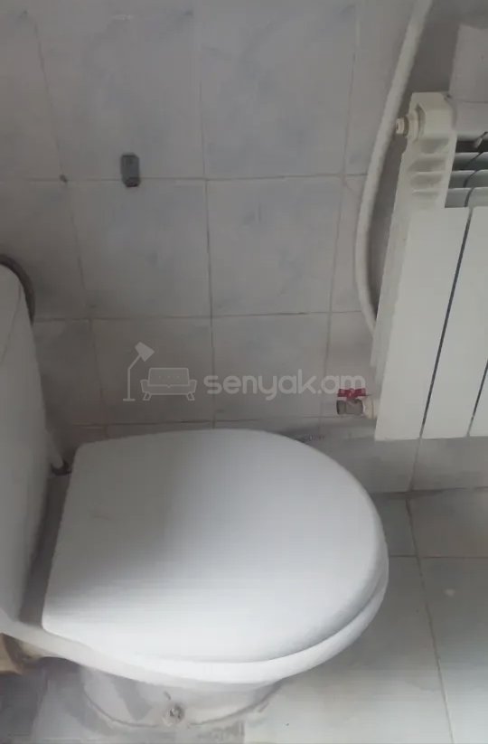 2 Սենյականոց Բնակարան Քարե Շենքում, 45քմ, 1/1 հարկ, Նորմալ Վիճակում, Կահավորված