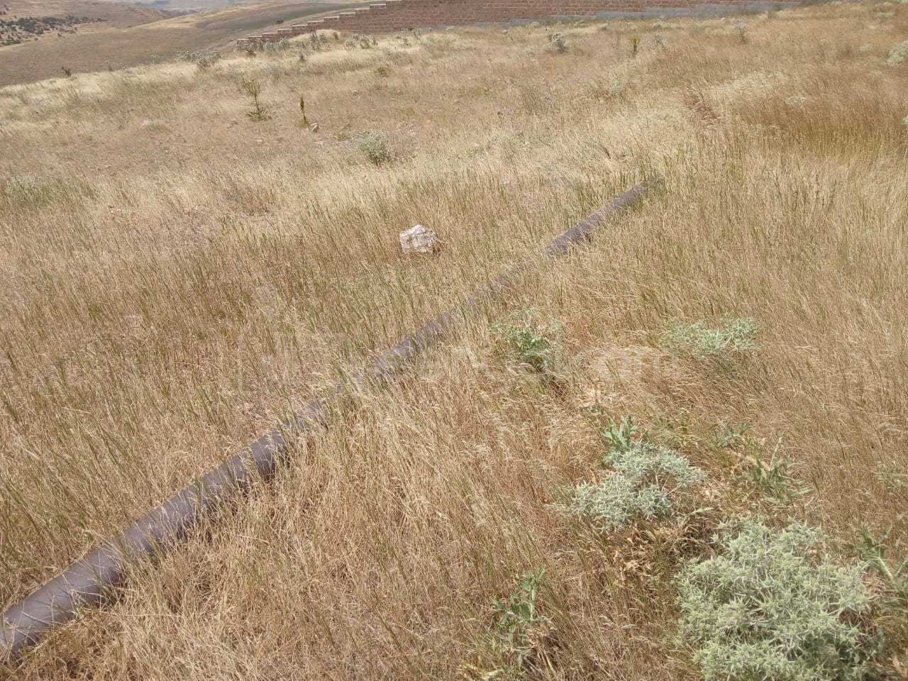 Բնակելի Նշանակության Հողատարածք, 1200քմ, Էլեկտրականությամբ