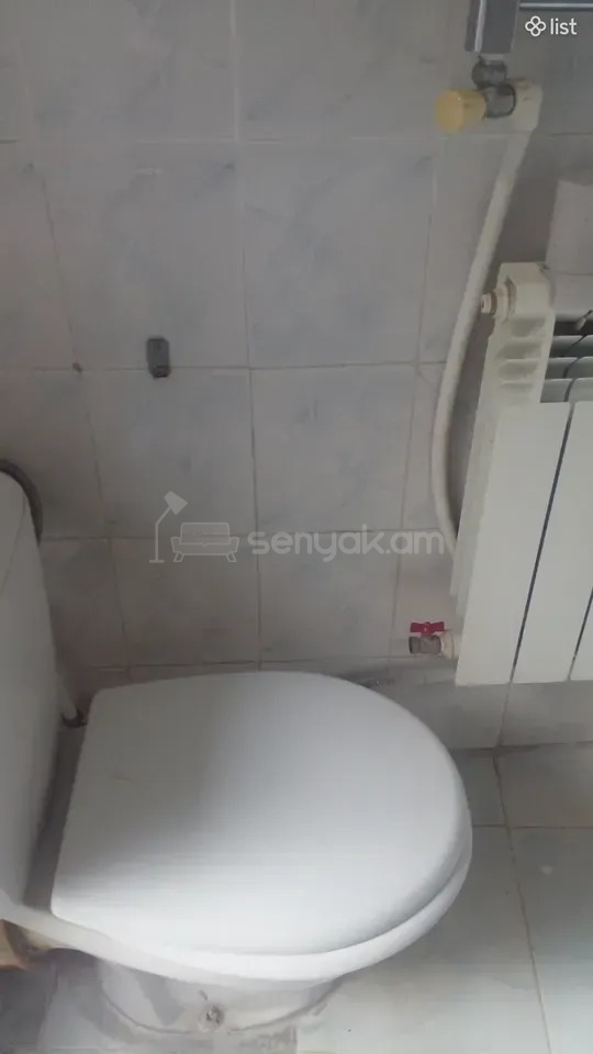 2 Սենյականոց Բնակարան Քարե Շենքում, 67քմ, 1/1 հարկ, Կապիտալ Վերանորոգված, Կահավորված