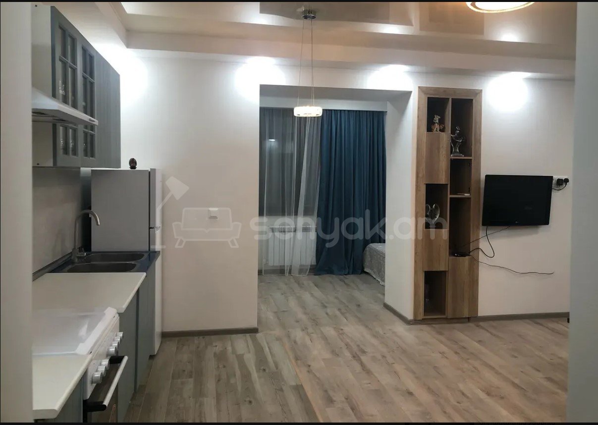 2 Սենյականոց Բնակարան Քարե Շենքում, 40քմ, 2/4 հարկ, Կապիտալ Վերանորոգված, Կահավորված