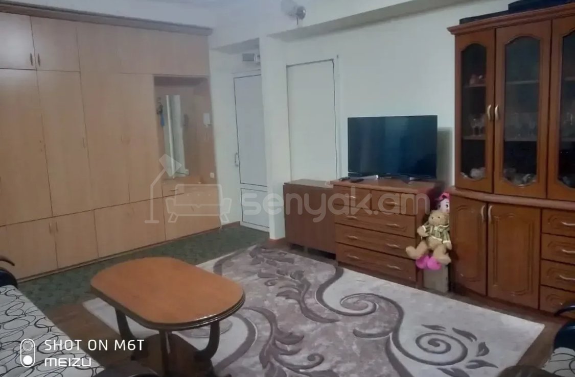 3 Սենյականոց Բնակարան, 72քմ, 5/9 հարկ, Կապիտալ Վերանորոգված, Կահավորված