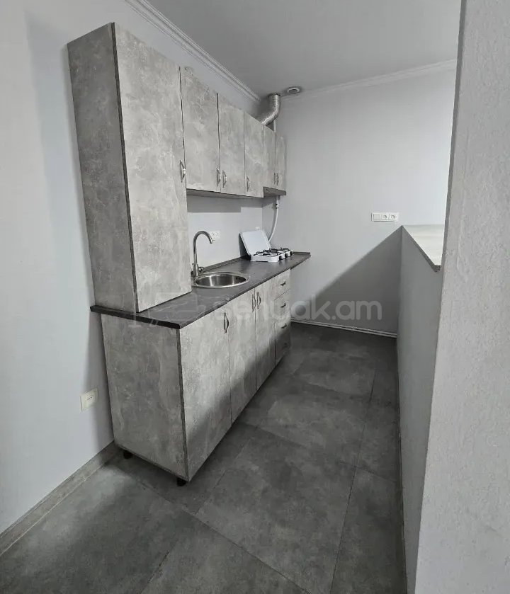 2 Սենյականոց Բնակարան Քարե Շենքում, 40քմ, 1/1 հարկ, Նորմալ Վիճակում
