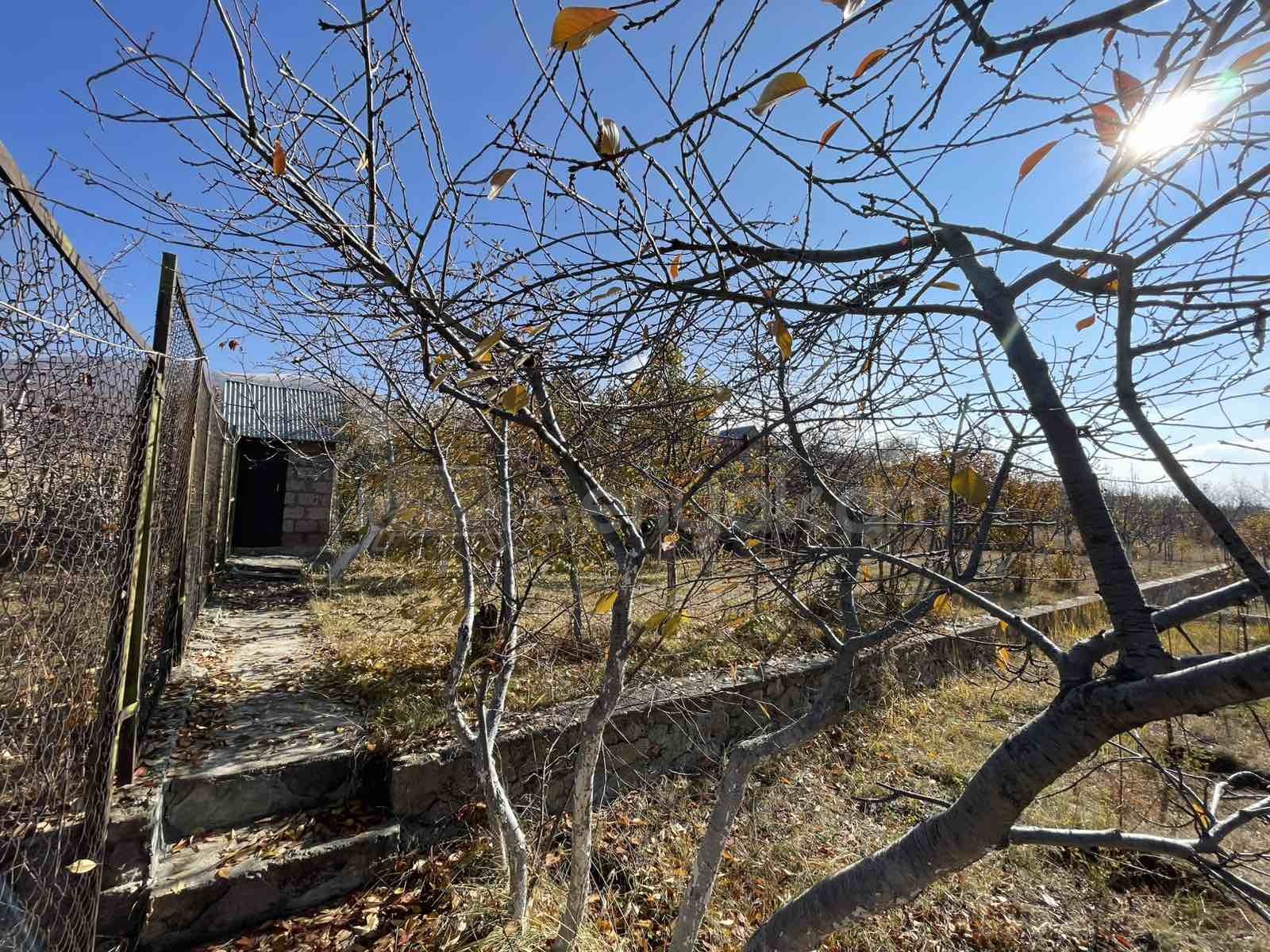 5 Սենյականոց Ամառանոց, 186քմ