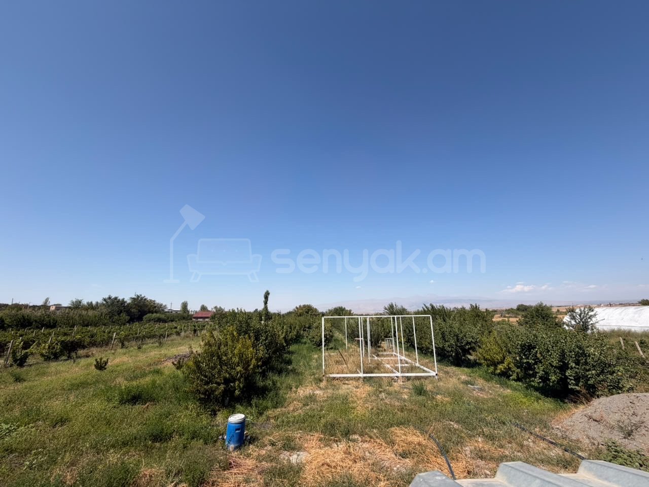 Այգի, 3600քմ, Ոռոգման Ջրով, Էլեկտրականությամբ, Ցանկապատված