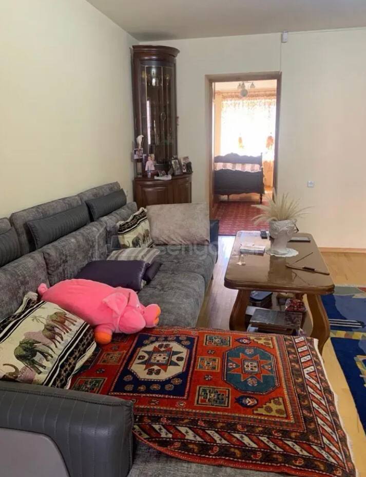 2 Սենյականոց Բնակարան Քարե Շենքում, 60քմ, 2/5 հարկ, Կոսմետիկ Վերանորոգված, Կահավորված