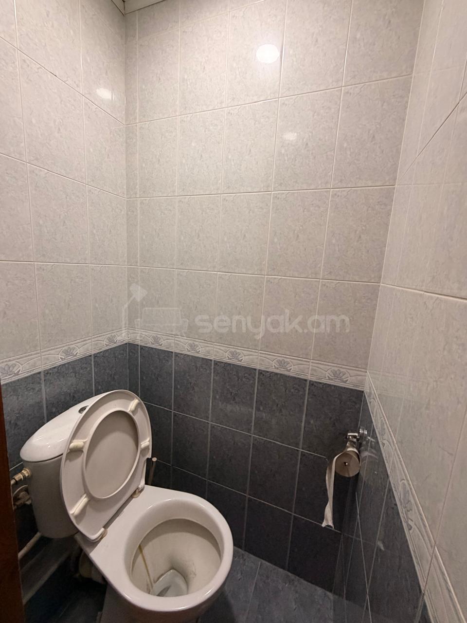 4 Սենյականոց Բնակարան, 100քմ, 7/9 հարկ, Նորմալ Վիճակում