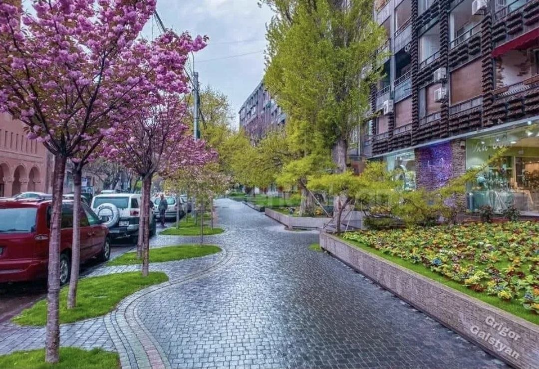 2 Սենյականոց Բնակարան Քարե Շենքում, 42քմ, 3/8 հարկ, Կապիտալ Վերանորոգված, Կահավորված, Արևկող