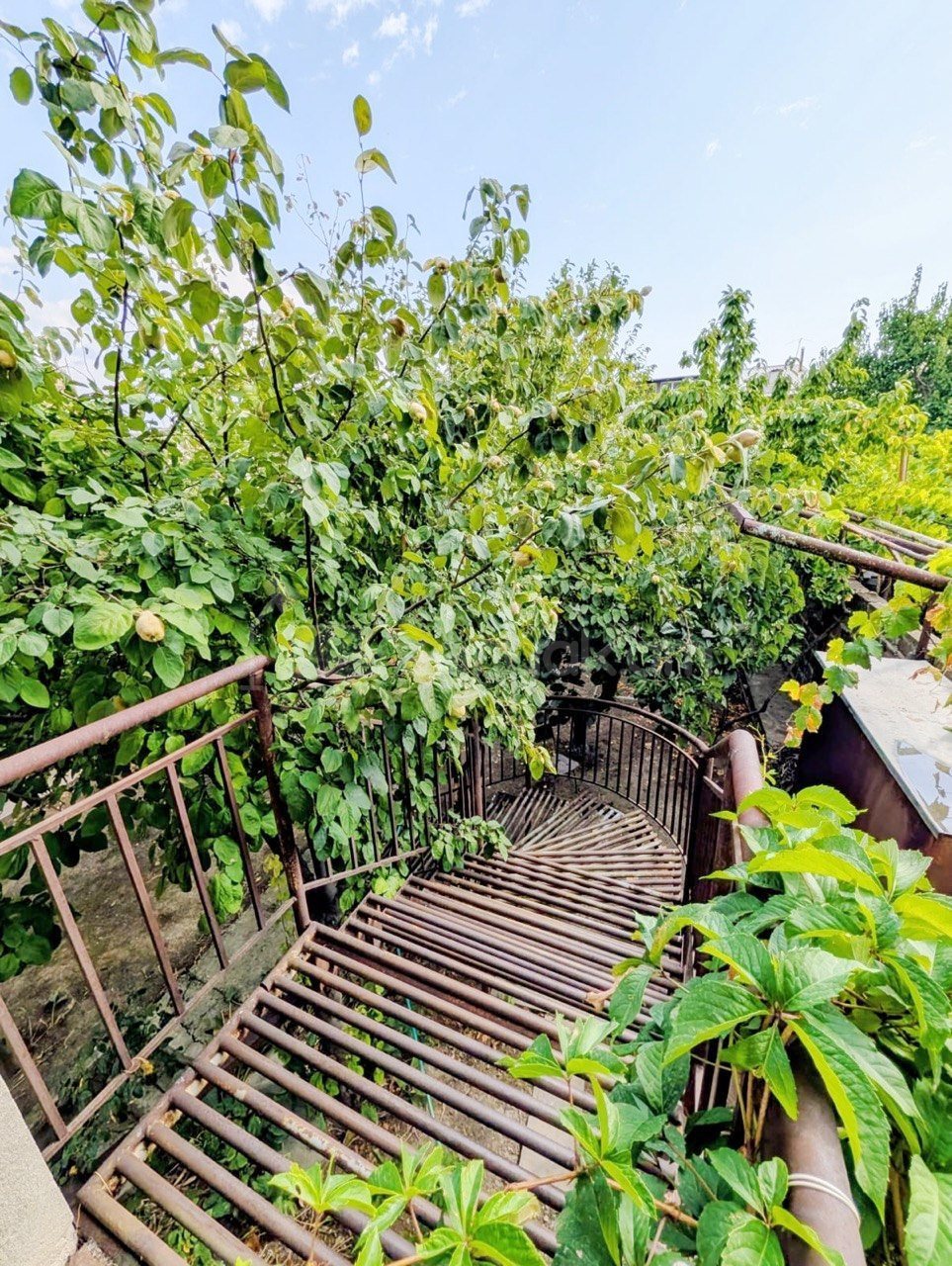 4 Սենյականոց Սեփական Տուն, 250քմ, Կապիտալ Վերանորոգված