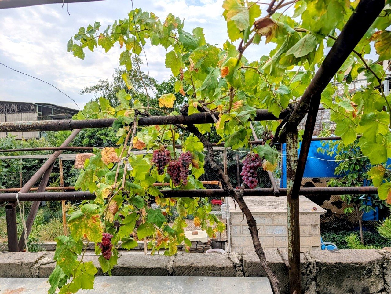 4 Սենյականոց Սեփական Տուն, 250քմ, Կապիտալ Վերանորոգված