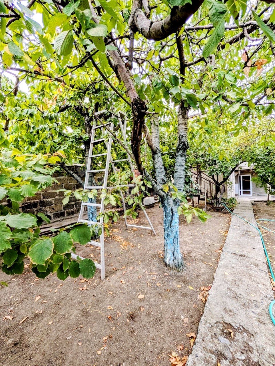 4 Սենյականոց Սեփական Տուն, 250քմ, Կապիտալ Վերանորոգված