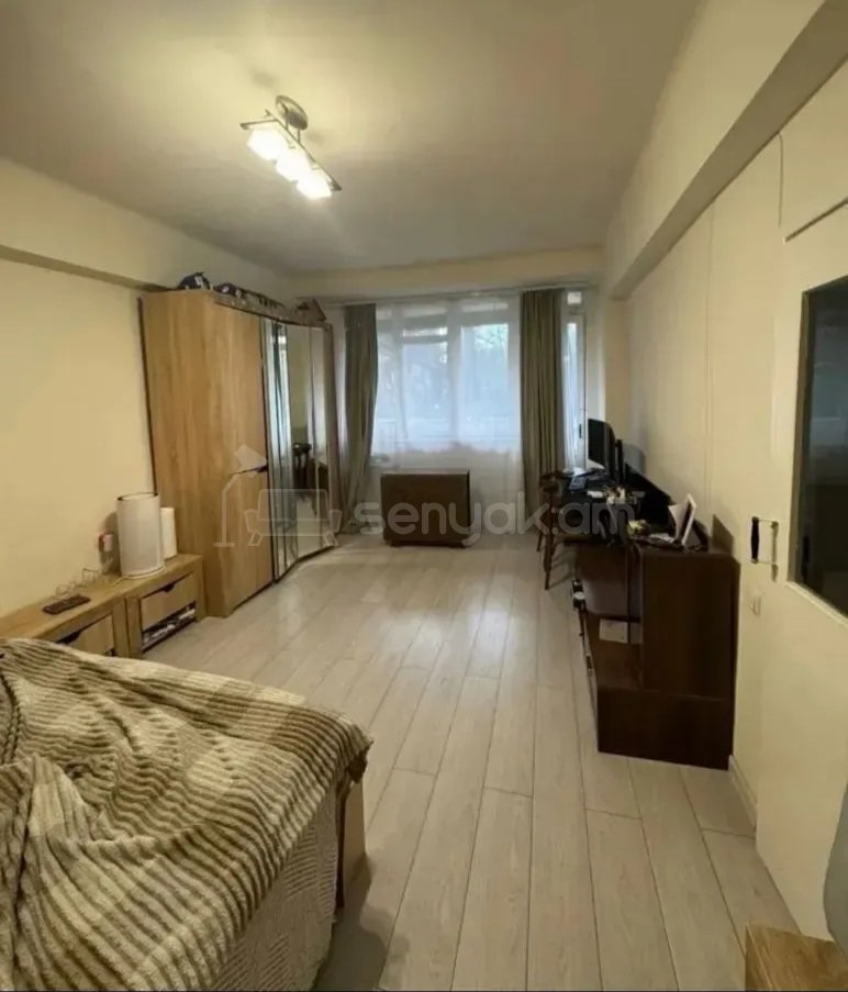 1 Սենյականոց Բնակարան Քարե Շենքում, 42քմ, 2/9 հարկ, Կապիտալ Վերանորոգված, Կահավորված