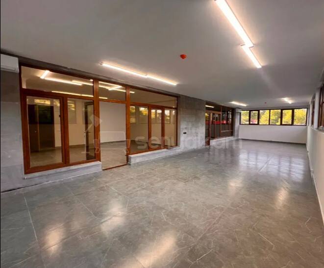 Օֆիսային Տարածք, 99քմ, Կապիտալ Վերանորոգված
